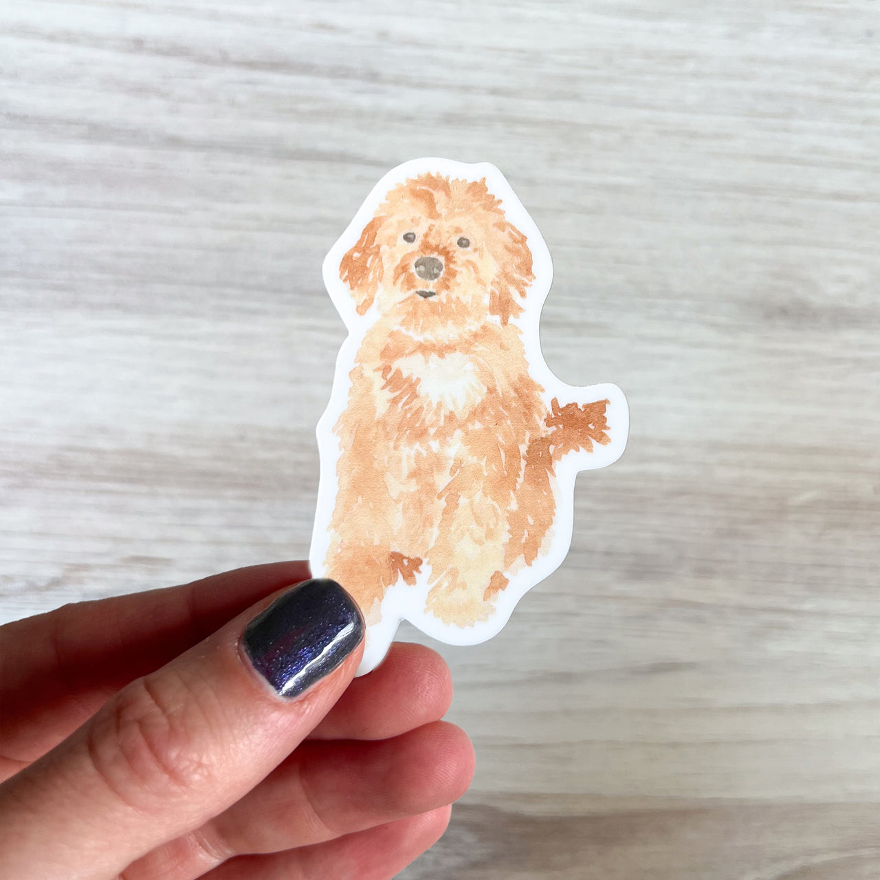 Goldendoodle Sticker by Gert & Co