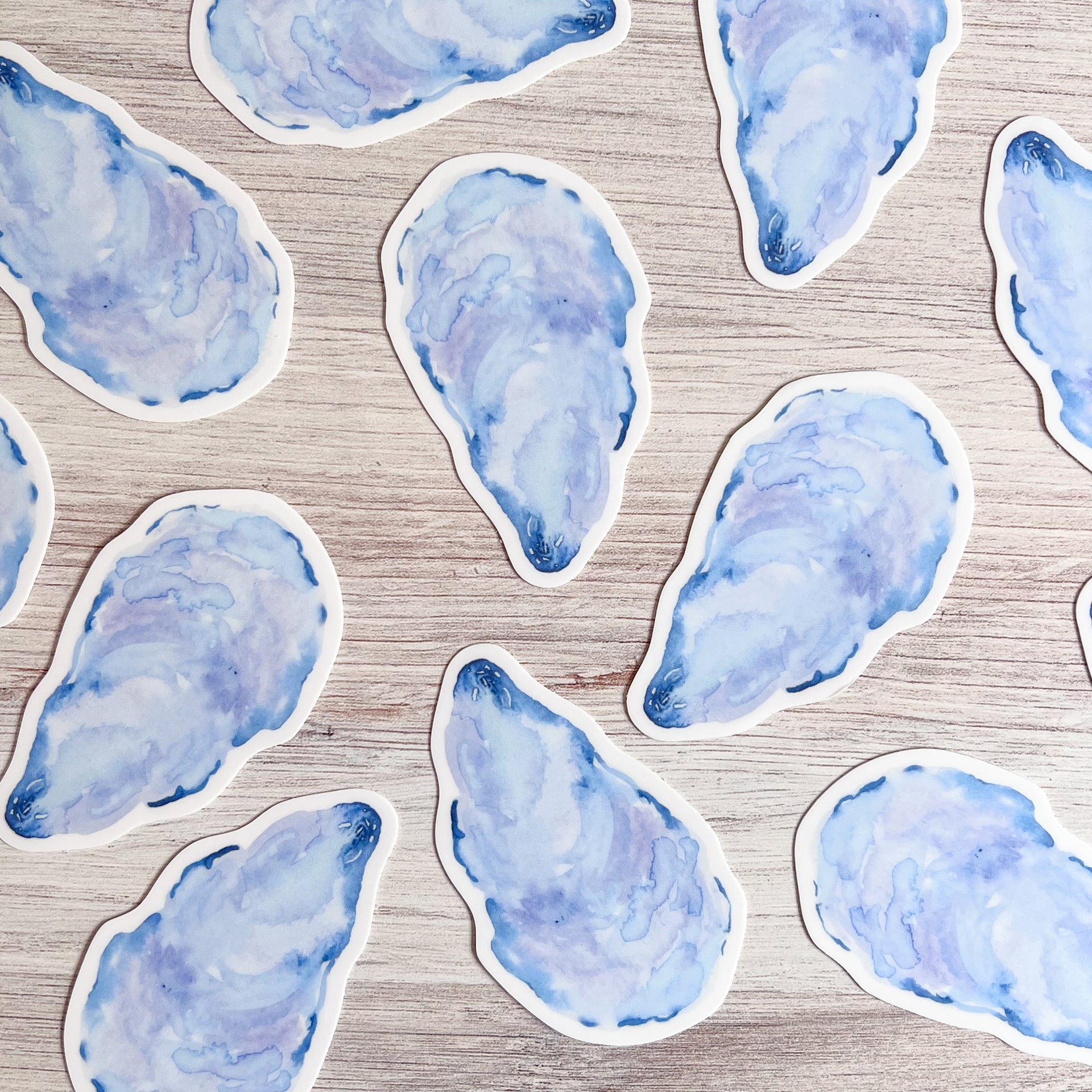 Watercolor Mussel Shell Sticker by Gert & Co