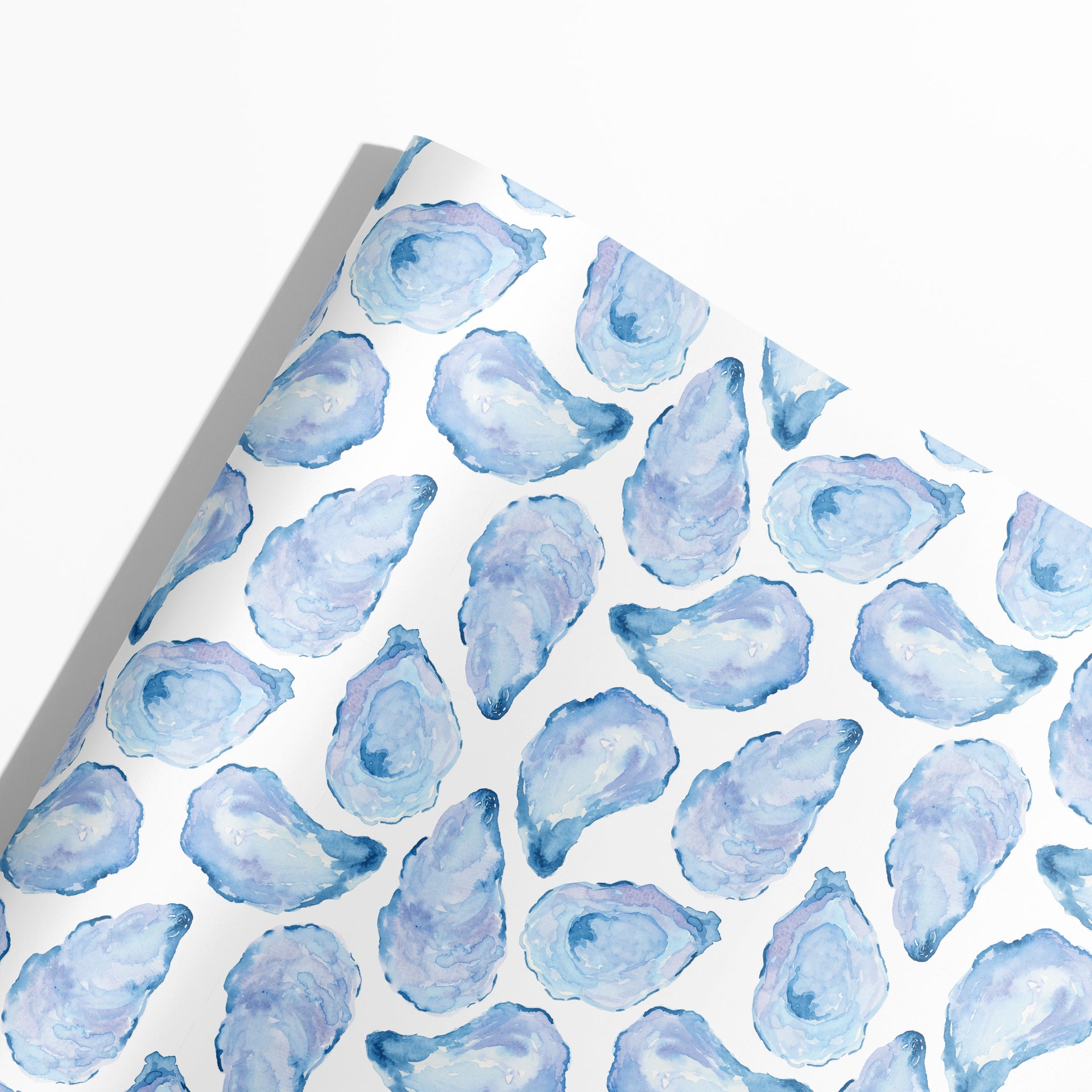Watercolor Mussel Shell Gift Wrap by Gert & Co