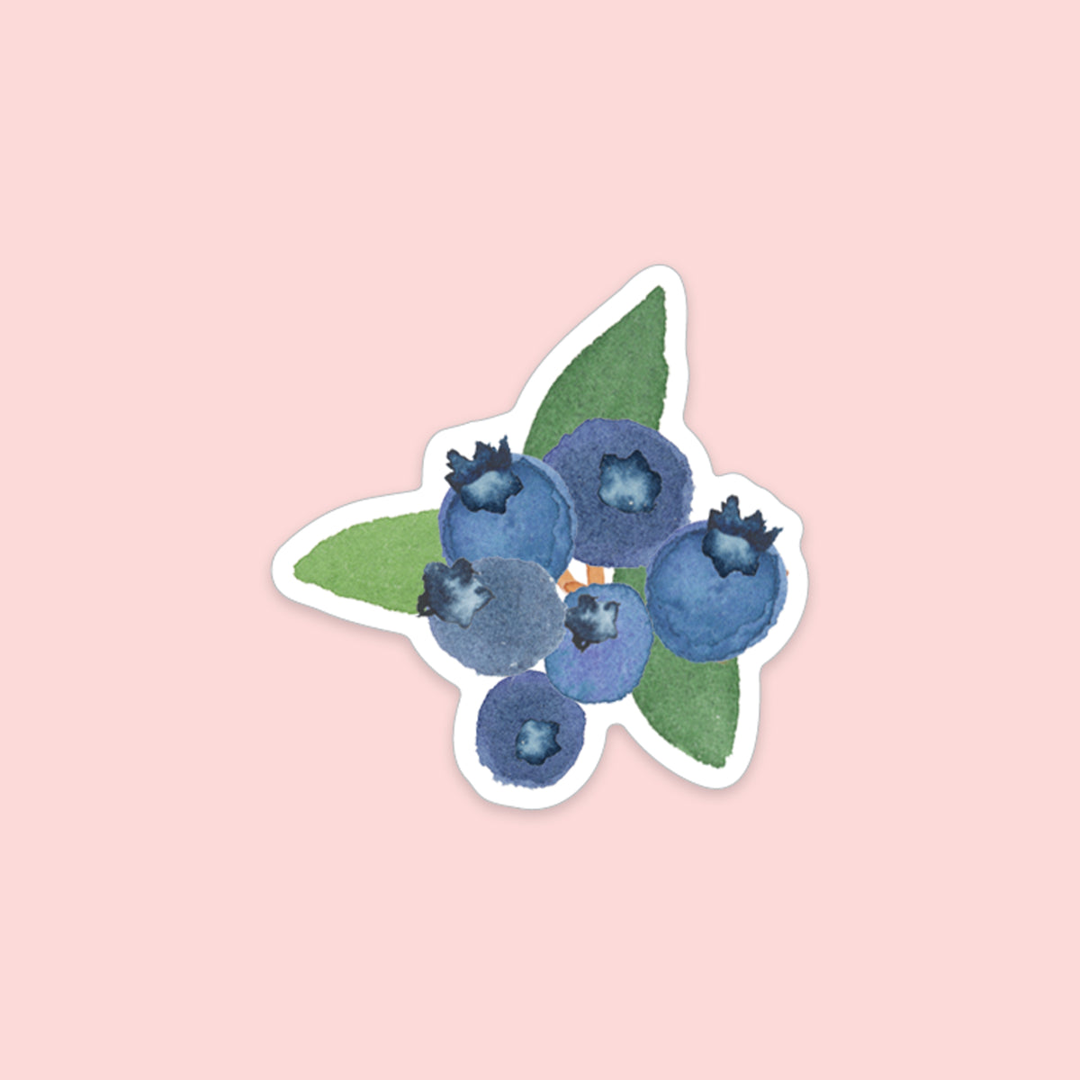 Blueberry Sticker