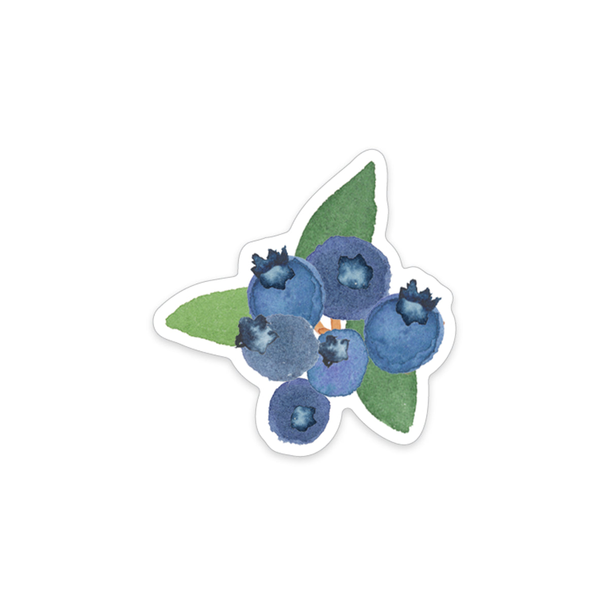 Blueberry Sticker