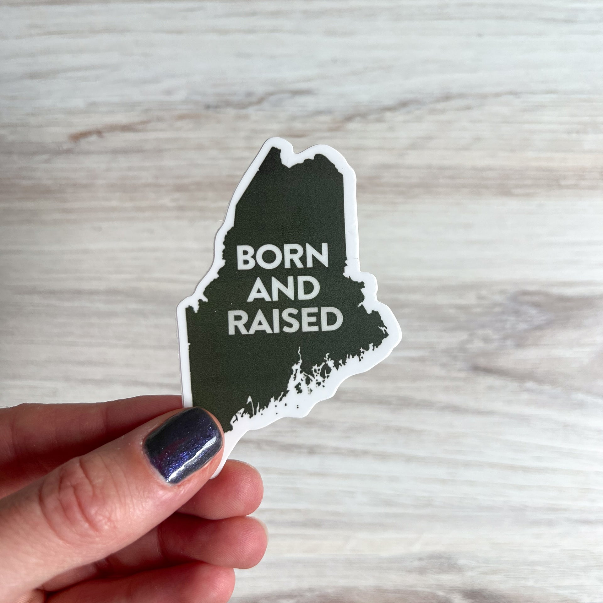 'Born and Raised' Maine Sticker by Gert & Co