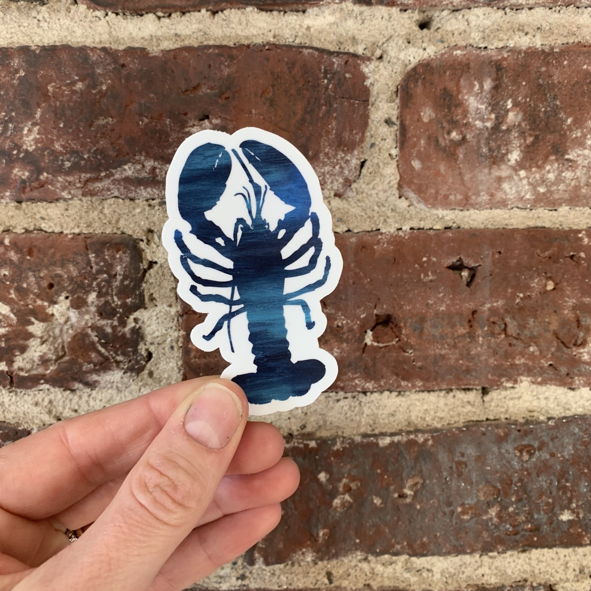 Blue Lobster Sticker by Gert & Co