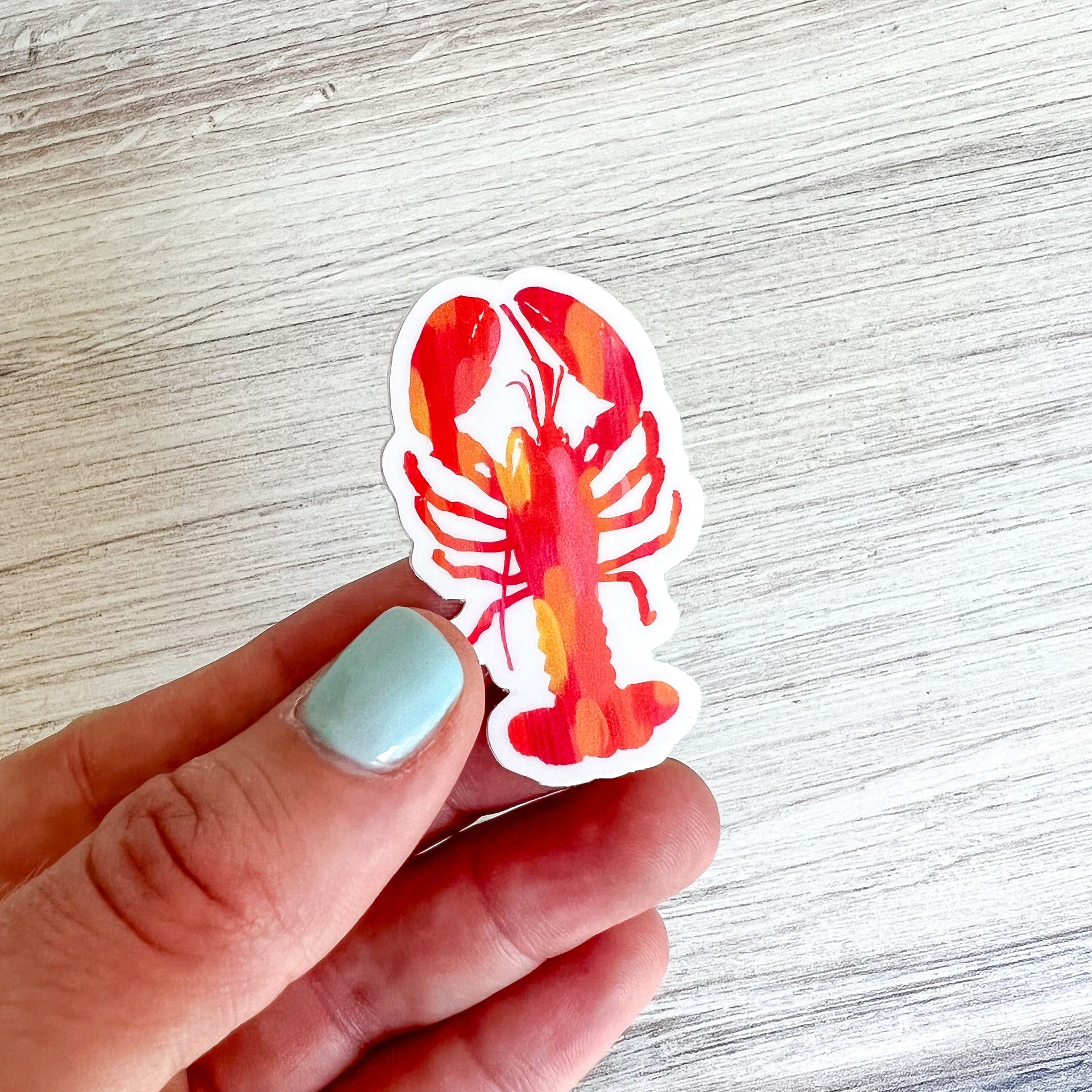Mini Lobster Sticker by Gert & Co