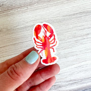 Mini Lobster Sticker by Gert & Co