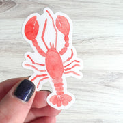 Watercolor Lobster Sticker by Gert & Co